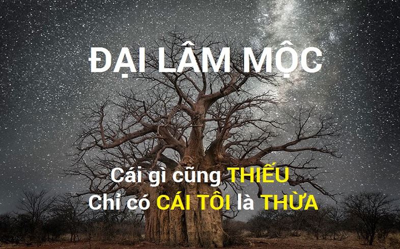 Phong Thủy Cho Người Mệnh Mộc - Cẩm Nang Phong Thủy Mệnh Mộc A-Z - Lyn'n Phong Thủy Tại Tâm