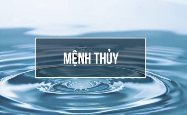 Phong Thủy Cho Người Mệnh Thủy - Cẩm Nang Phong Thủy Mệnh Thủy A-Z - Lyn'n Phong Thủy Tại Tâm