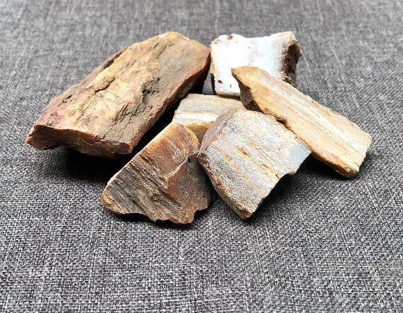 Gỗ Hóa Thạch Là Gì? Cách Nhận Biết Gỗ Hóa Thạch