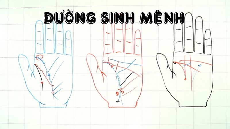 Cách đọc đường sinh mệnh để dự đoán thành công trong công việc