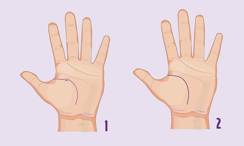 Cách đọc đường sinh mệnh để dự đoán thành công trong công việc