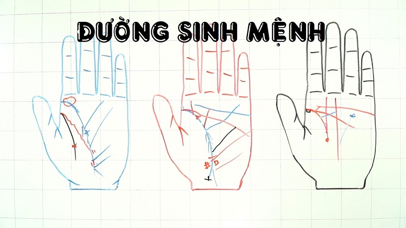 Cách đọc đường sinh mệnh để dự đoán thành công trong công việc