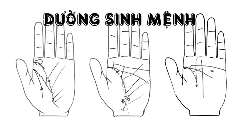 Cách đọc đường sinh mệnh để dự đoán thành công trong công việc