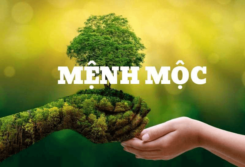 Tóm tắt về yếu tố Mộc: Tính cách, Yếu tố tương hợp, Tương hợp, Không tương hợp